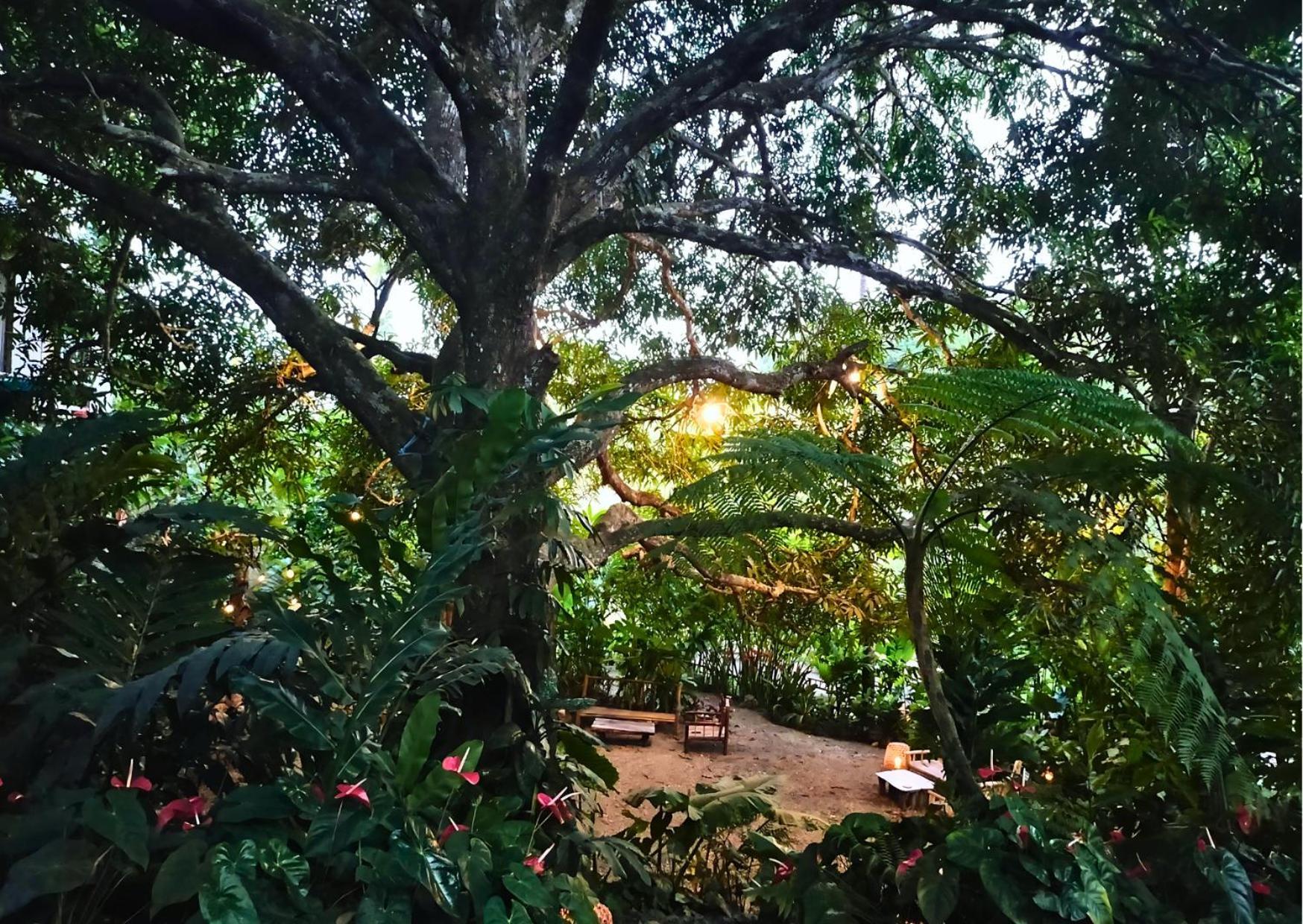 Canjahawon Nipa Hut Homestay Siquijor Exteriér fotografie